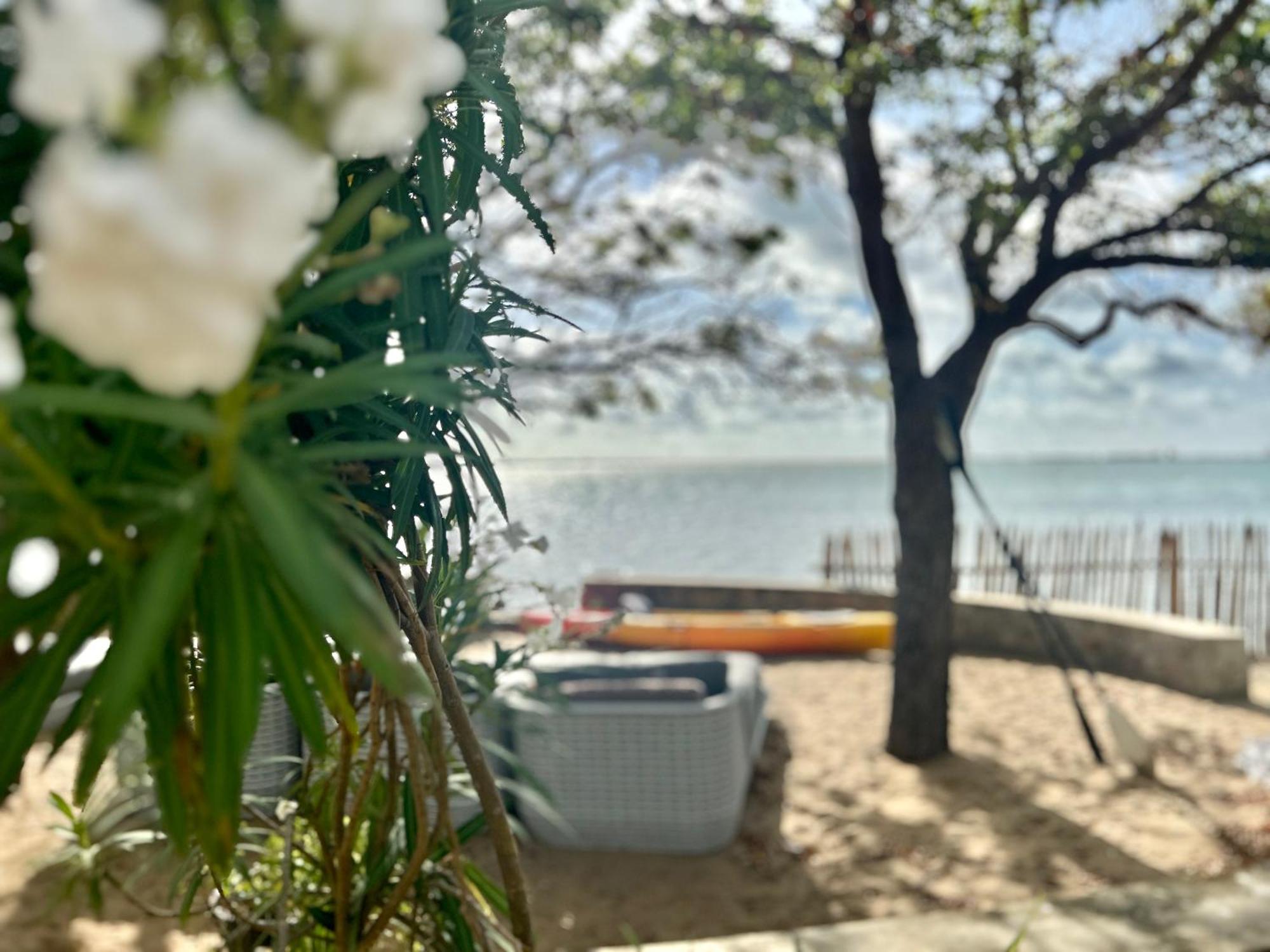 Arasi Resort Kalpitiya Exteriér fotografie