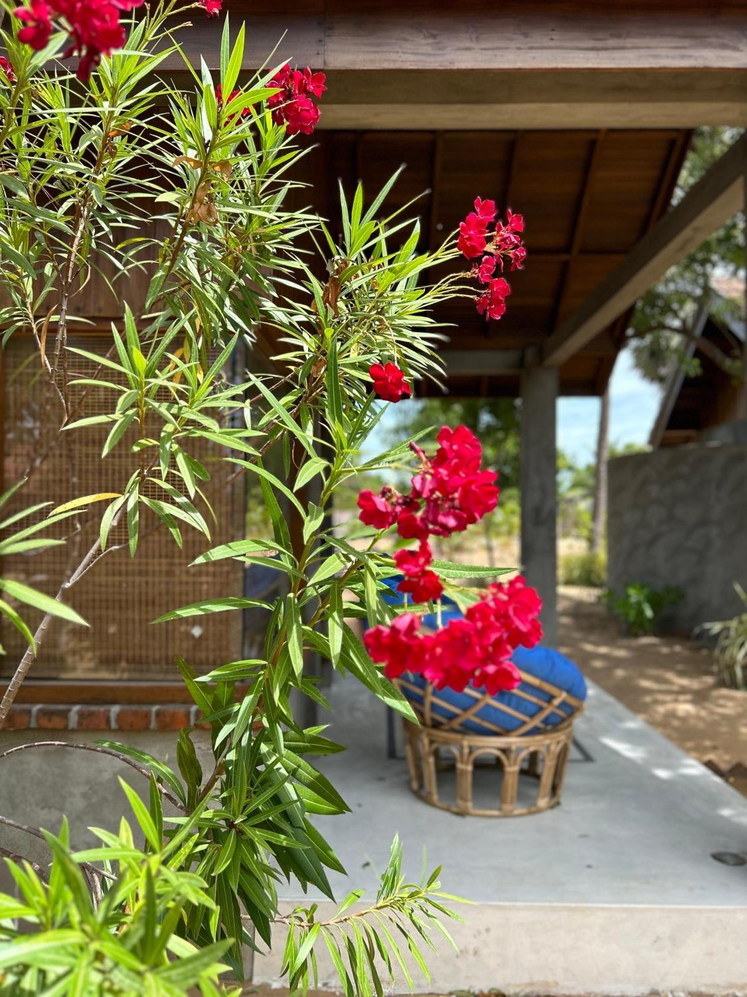 Arasi Resort Kalpitiya Exteriér fotografie